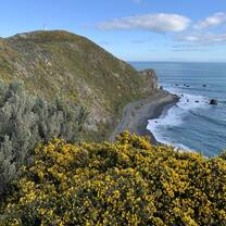Pencarrow Lighthouse