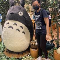 Me and Totoro at the Studio Ghibli store!