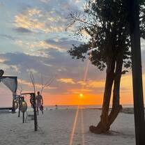Beach sunsets
