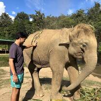 Elephant Sanctuary 