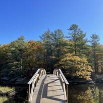 the bridge to tree house and cook house