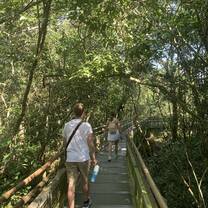 The jungle in Iguazú