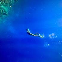 Red Sea - KAUST snorkeling
