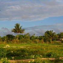 View next to base at Phang Nga