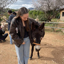 Visiting a donkey sanctuary as one of CYA's de-stress activities during midterms!