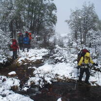 Snowy morning group expedition 