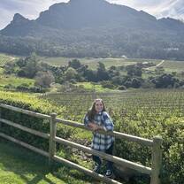 Vineyard 
