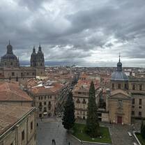 view of Salamanca from the top of the cathedral 