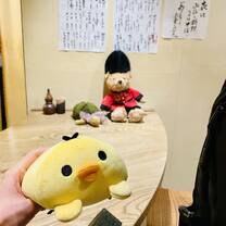 Funniest moment, Duck and his new friends provided by the owner!
