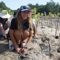 Planting mangroves
