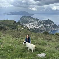Petting goats in Capri, on the ISA field trip