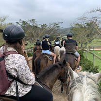 We went horseback riding through a game reserve with beautiful landscapes and wildlife