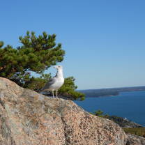 Acadia national park