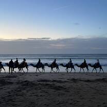 RVF in Morocco!
