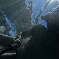 Snorkeling! 