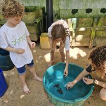 taking care of baby sea turtles