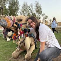 Camels everywhere 
