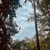 Zip lining 
