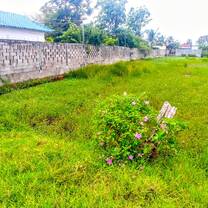 Lush Green at AHHA Bungalows