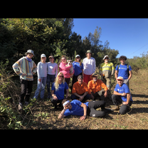 Invasive species removal day
