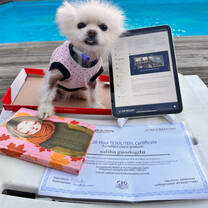 Learning to teach English from anywhere in the world- even poolside!