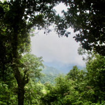 Three day trek 