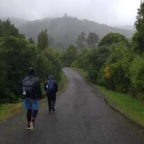 Saturday Hike 