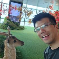 Just a deer at the top of Taipei101