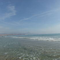 Beach Day 