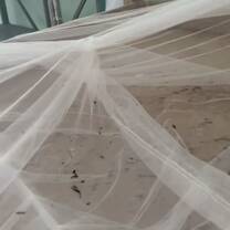 Rat poo on the mosquito nets on the beds - rats crawling on the beds 