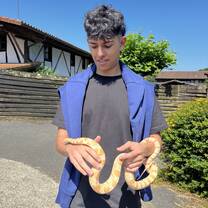 snakes are nice animals