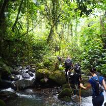 Jungle hike 