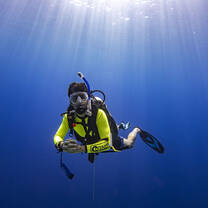 Diving for Research