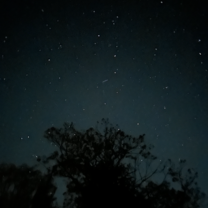 Watching the night sky with friends