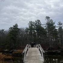 Photo of the bridge! The location of Seguinland is part of what makes the place so special! Walking up to the beautiful leaves and nature every day was a highlight of my time! 