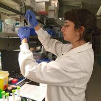 that's me while i was preparing the sample to the Electron microscopy analysis