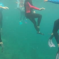 Lecture on coral reefs in the water!