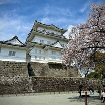 Odawara Castle in Spring