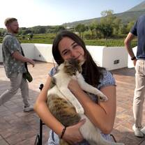 Mt. Vesuvius cat
