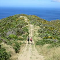 Red Rocks, Wellington