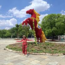 Year of the horse