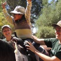 Bolivia Equine Therapy with Projects Abroad