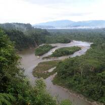 Amazon Rainforest in Ecuador