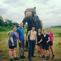 students posing with elephant in green field
