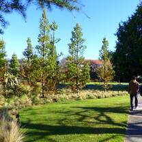 lincoln campus lawn