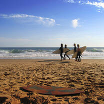 Surfers Swansea University Wales