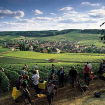 Champagne Region Field Trip