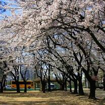 ISA in Seoul (photo taken by Mary Schwark ISA alumn Spring 2013)