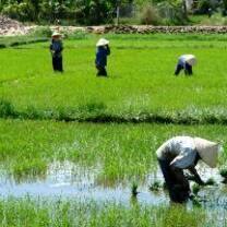 Education Abroad Network - Study abroad in Thailand