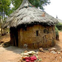 University of Nebraska Lincoln: Agriculture Study Program in Ethiopia